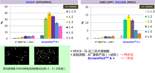 DNA & siRNA转染试剂