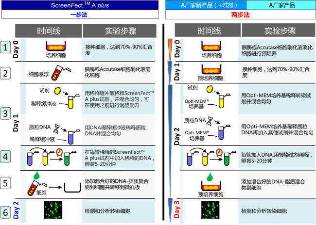 DNA & siRNA转染试剂