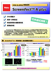 DNA & siRNA转染试剂