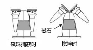 MagCapture™ 系列用磁珠捕获磁力架