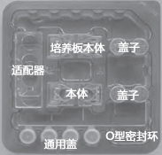 水平连接细胞共培养板