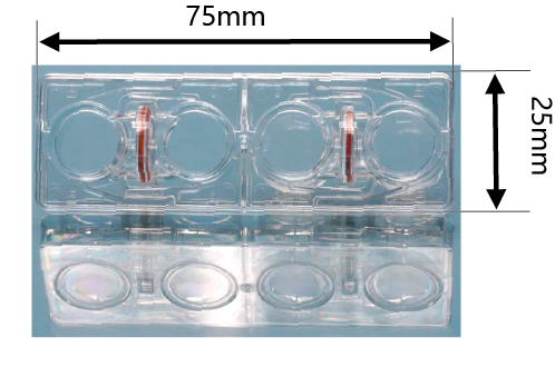 水平连接细胞共培养板