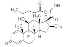 肾上腺皮质激素