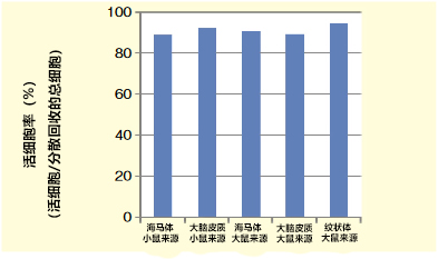 Wako神经细胞用分散液