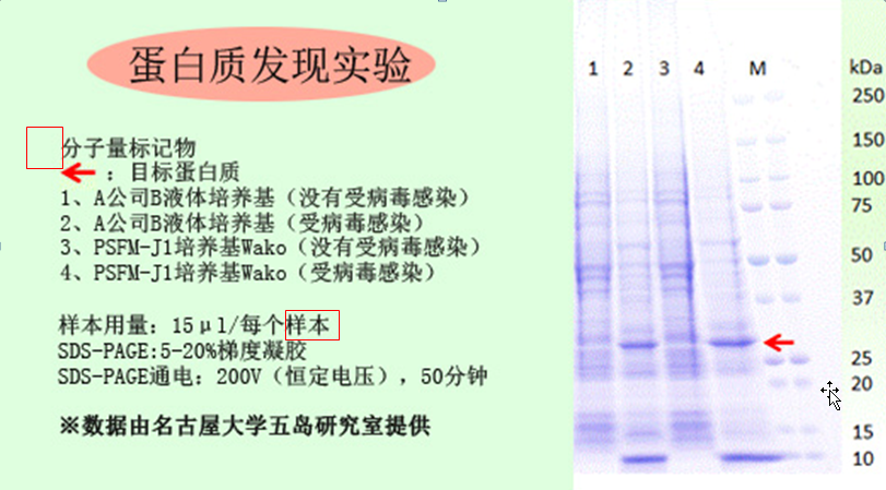 PSFM-J1昆虫细胞培养基