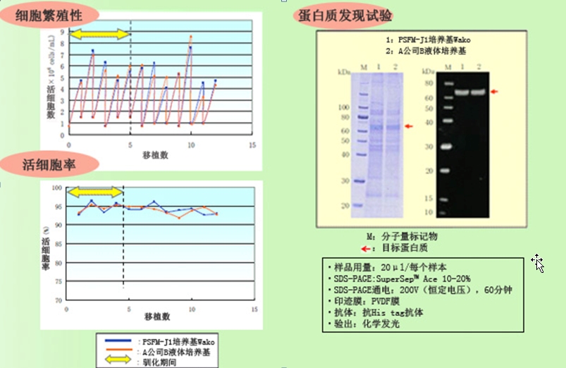 PSFM-J1昆虫细胞培养基