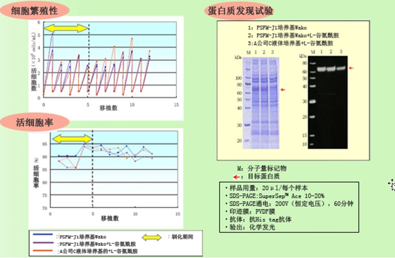 PSFM-J1昆虫细胞培养基