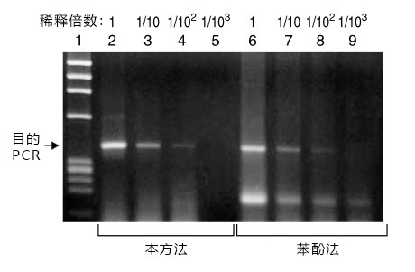 DNA Extractor® Kit  血清/生物制药残余DNA提取试剂盒