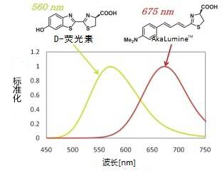 AkaLumine™
