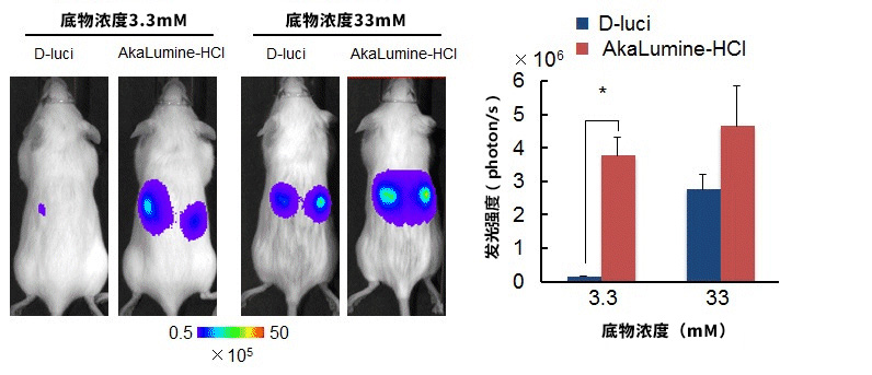 AkaLumine-HCl（AkaLumine盐酸盐）