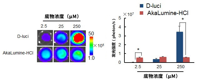AkaLumine-HCl（AkaLumine盐酸盐）