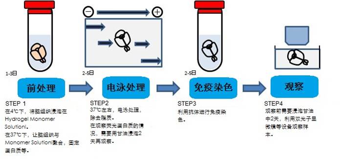 VA-044（聚合物引发剂）