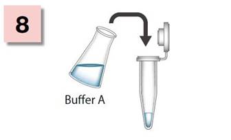 粘蛋白检测试剂盒