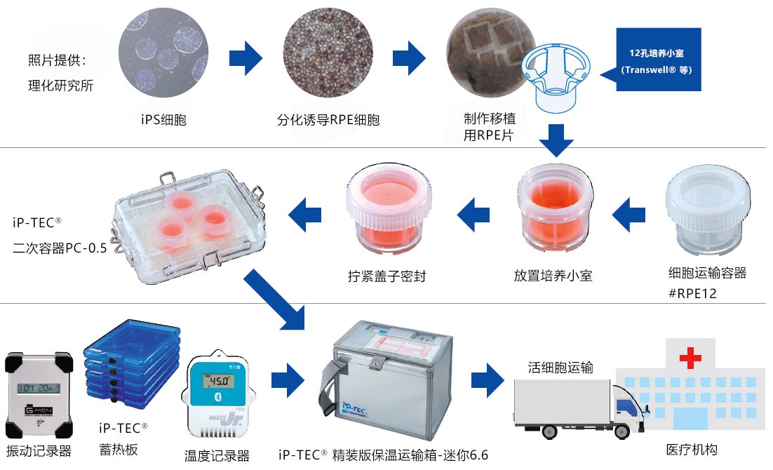 iP-TEC®  细胞培养小室用运输容器 （12孔、24孔）