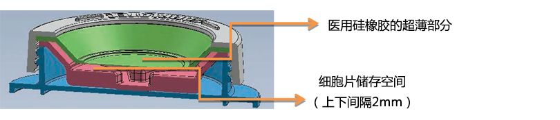 iP-TEC® 细胞片运输容器φ38、φ50