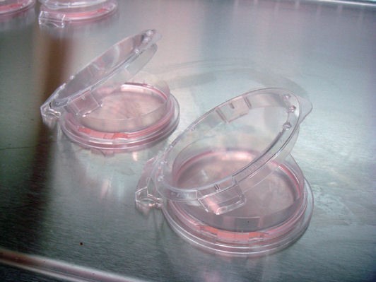 SHellDisH系列产品