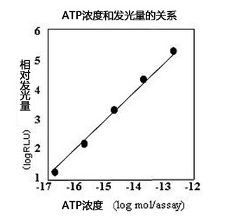 ATP荧光检测仪C-110