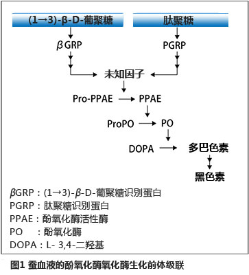 SLP肽聚糖检测试剂