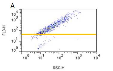 ProteoStat® 蛋白聚集检测