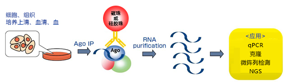 硅胶珠型microRNA分离试剂盒