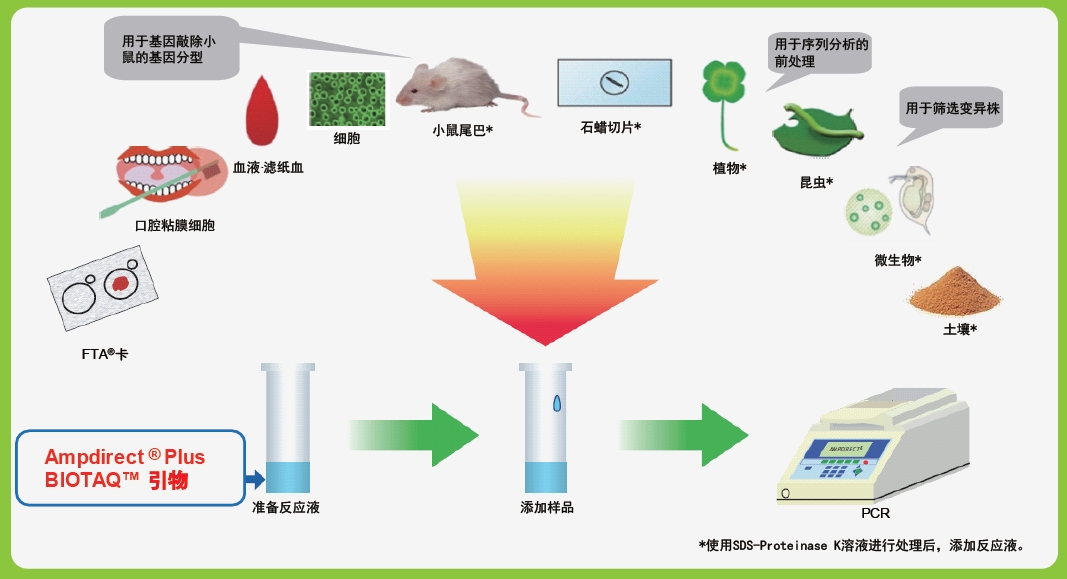 新型PCR 扩增缓冲液