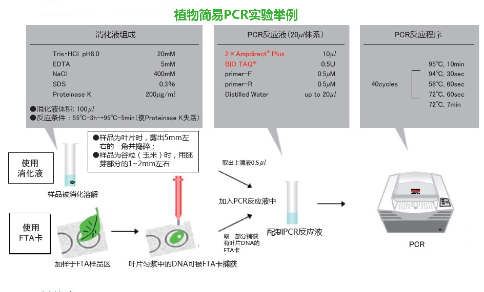 新型PCR 扩增缓冲液