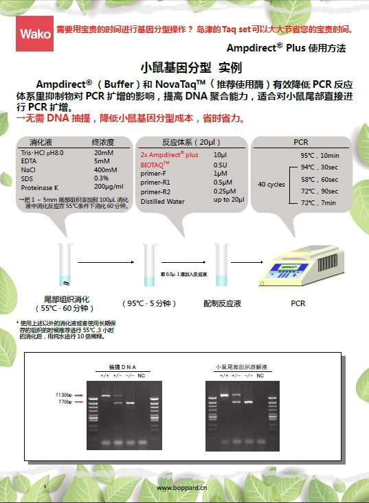 新型PCR 扩增缓冲液