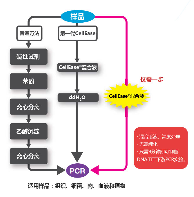 CellEase® II DNA快速提取试剂盒