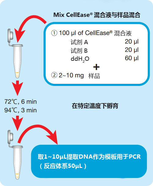 CellEase® II DNA快速提取试剂盒