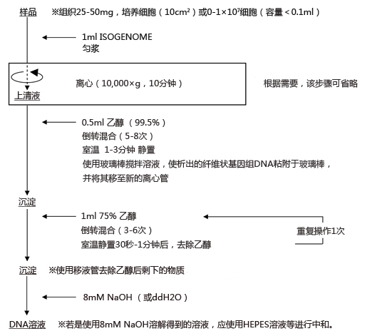 ISOGENOME