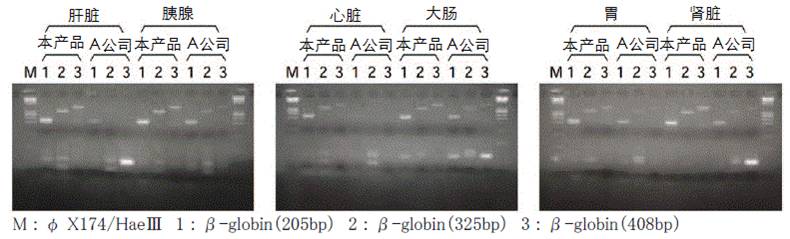 DNA分离PS-快速试剂