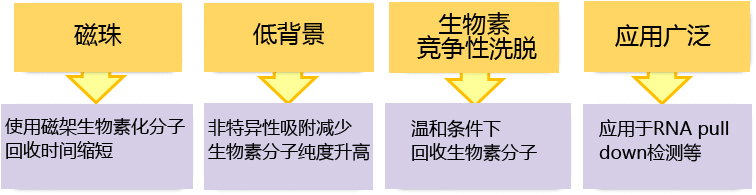 Tamavidin® 2-REV Magnetic Beads