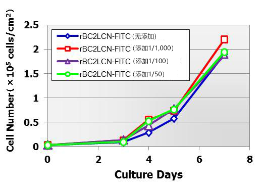 荧光标记rBC2LCN（AiLecS1）