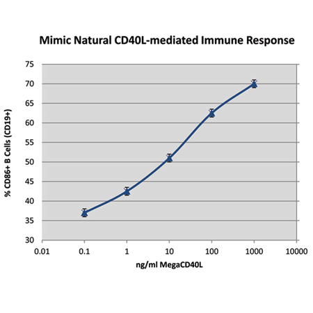 重组人MEGACD40L® 蛋白（可溶）