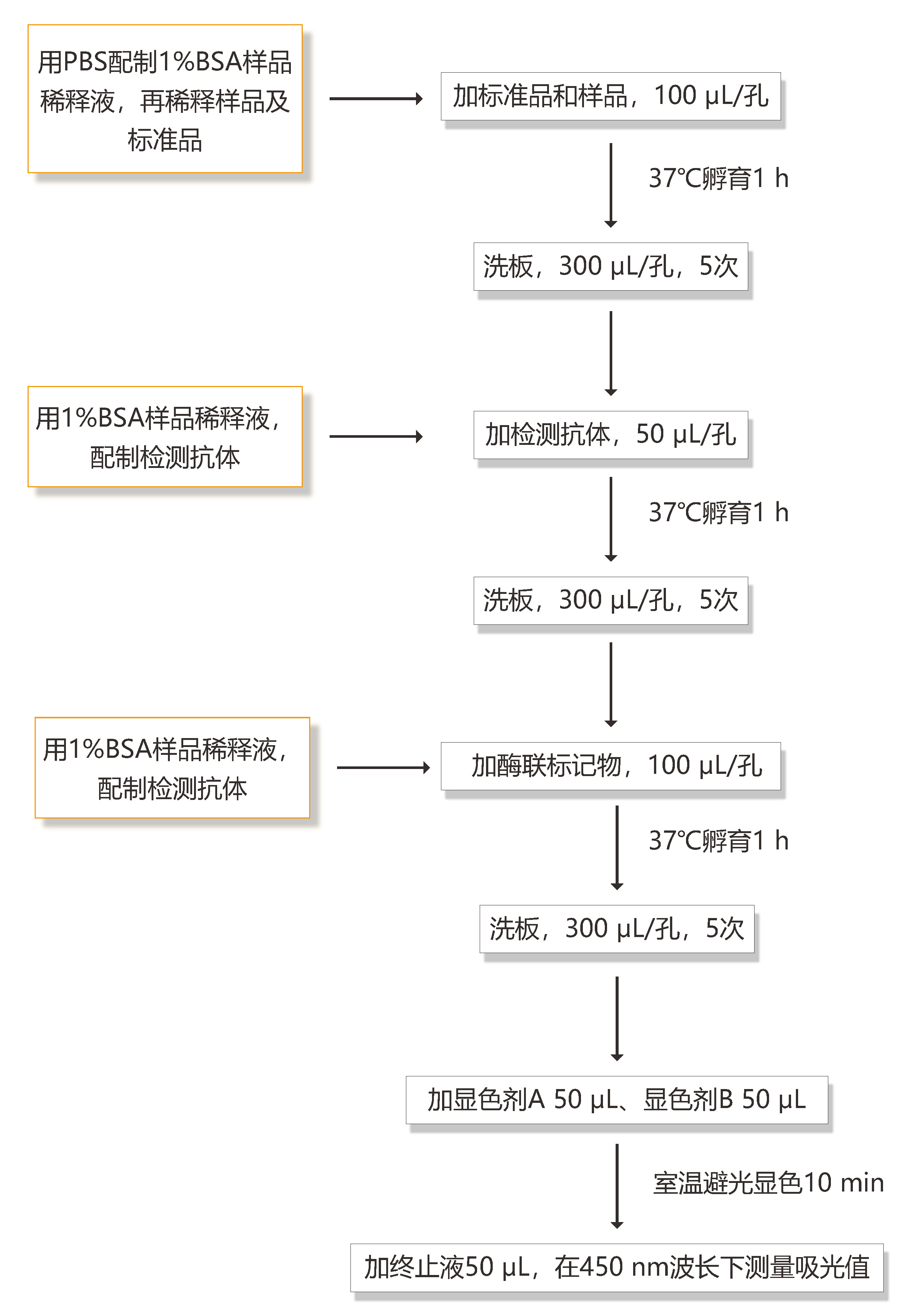 重组双碱性氨基酸内肽酶检测试剂盒