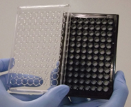 Alvetex™ 3D细胞培养系统