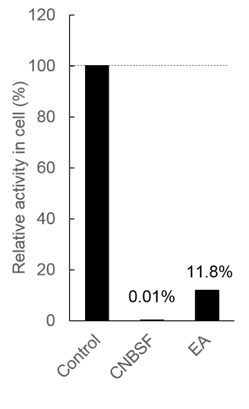 CNBSF ＜Irreversible GST Inhibitor＞