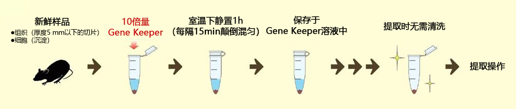 Gene Keeper RNA & DNA stabilization solution