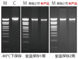 Gene Keeper RNA & DNA stabilization solution