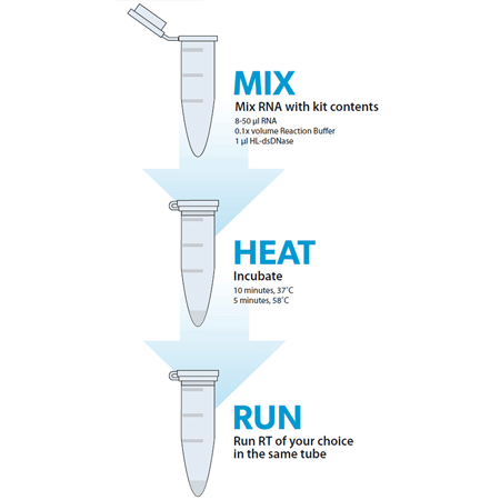 gDNA removal kit