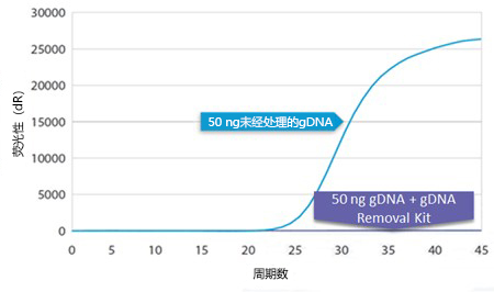 gDNA removal kit