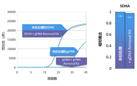 gDNA removal kit