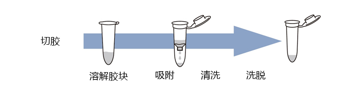 Long ssDNA Gel Extraction Kit