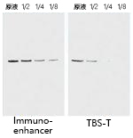 Immuno-enhancer