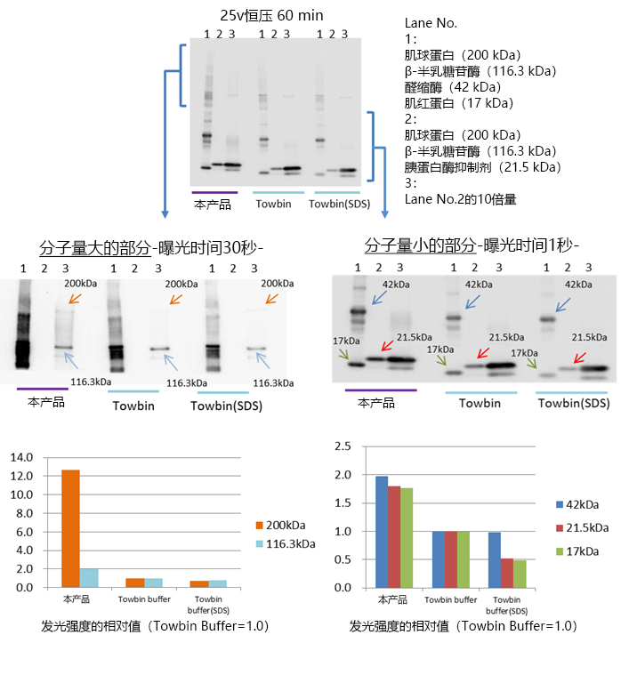 AquaBlot™ 10×High Efficiency Transfer Buffer