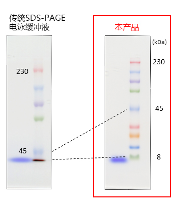 AllView PAGE Buffer