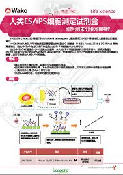 人ES/iPS细胞检测试剂盒