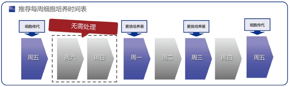 灵长类胚胎干细胞/诱导多能干细胞培养基