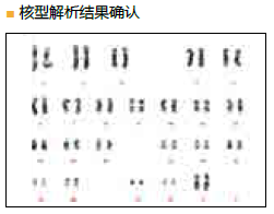 StemSure® 人多能干细胞培养基