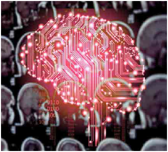 人iPS细胞来源的谷氨酸能神经元祖细胞